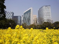 リストの画像